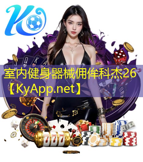 <strong>室内健身器械佣侔科杰26</strong>
