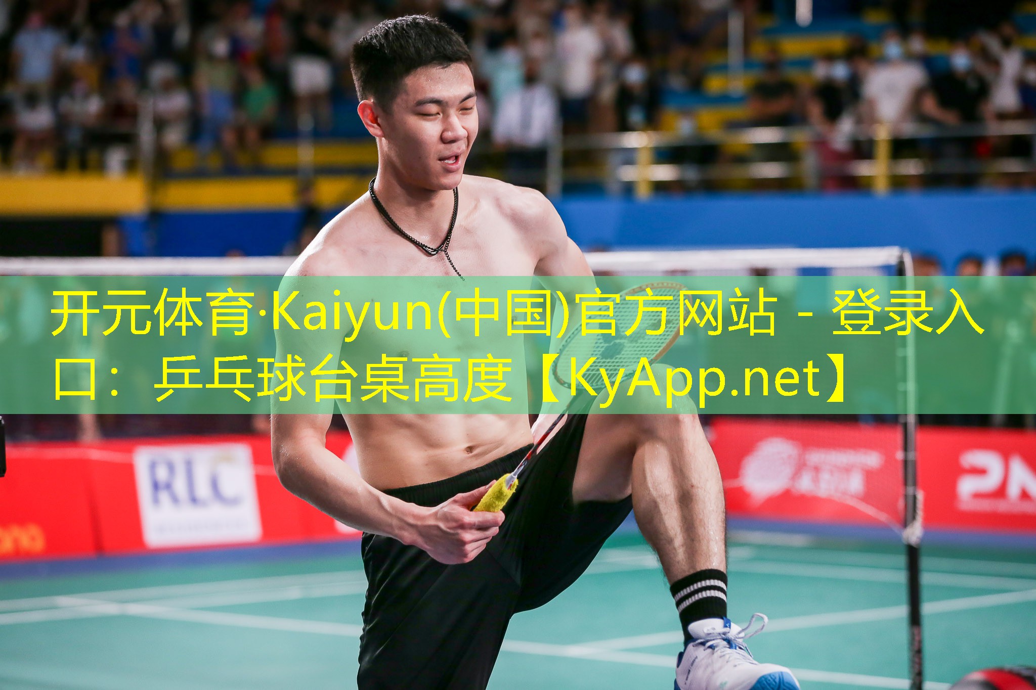 <strong>开元体育·Kaiyun(中国)官方网站 - 登录入口：乒乓球台桌高度</strong>