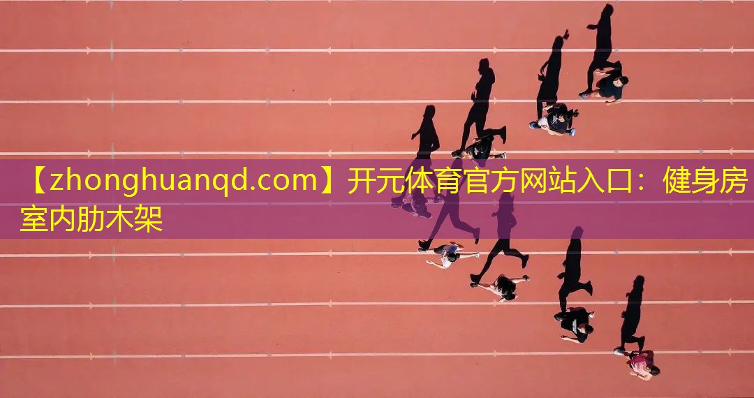 开元体育官方网站入口：健身房室内肋木架