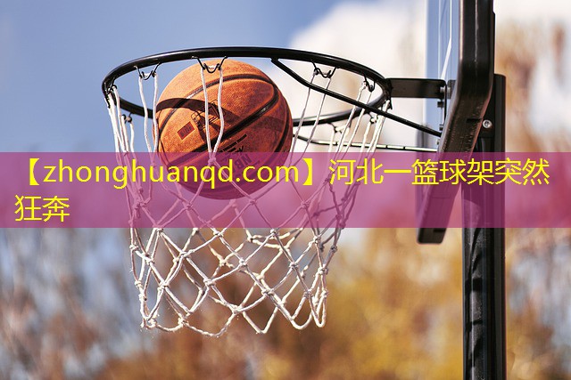 河北一篮球架突然狂奔