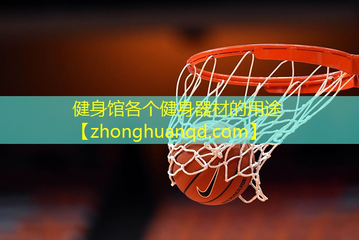 健身馆各个健身器材的用途