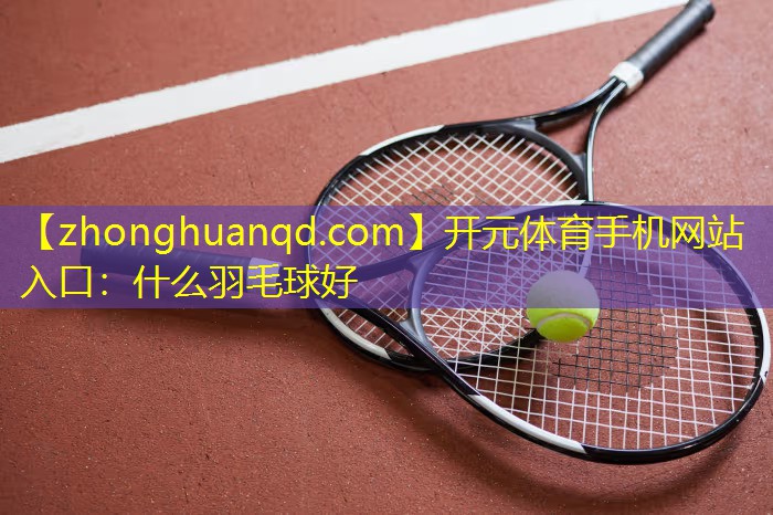 什么羽毛球好