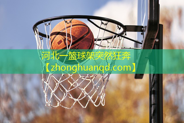 河北一篮球架突然狂奔