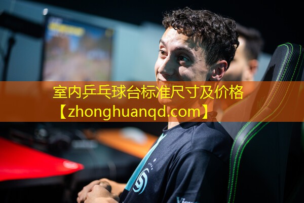 室内乒乓球台标准尺寸及价格