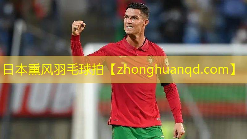日本熏风羽毛球拍