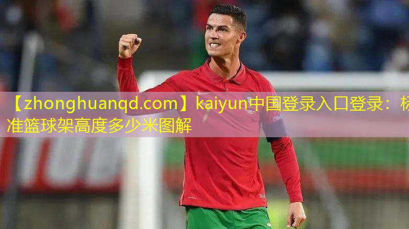 标准篮球架高度多少米图解